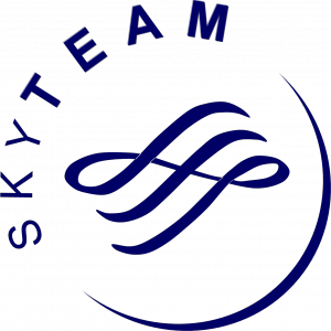 logo skyteam